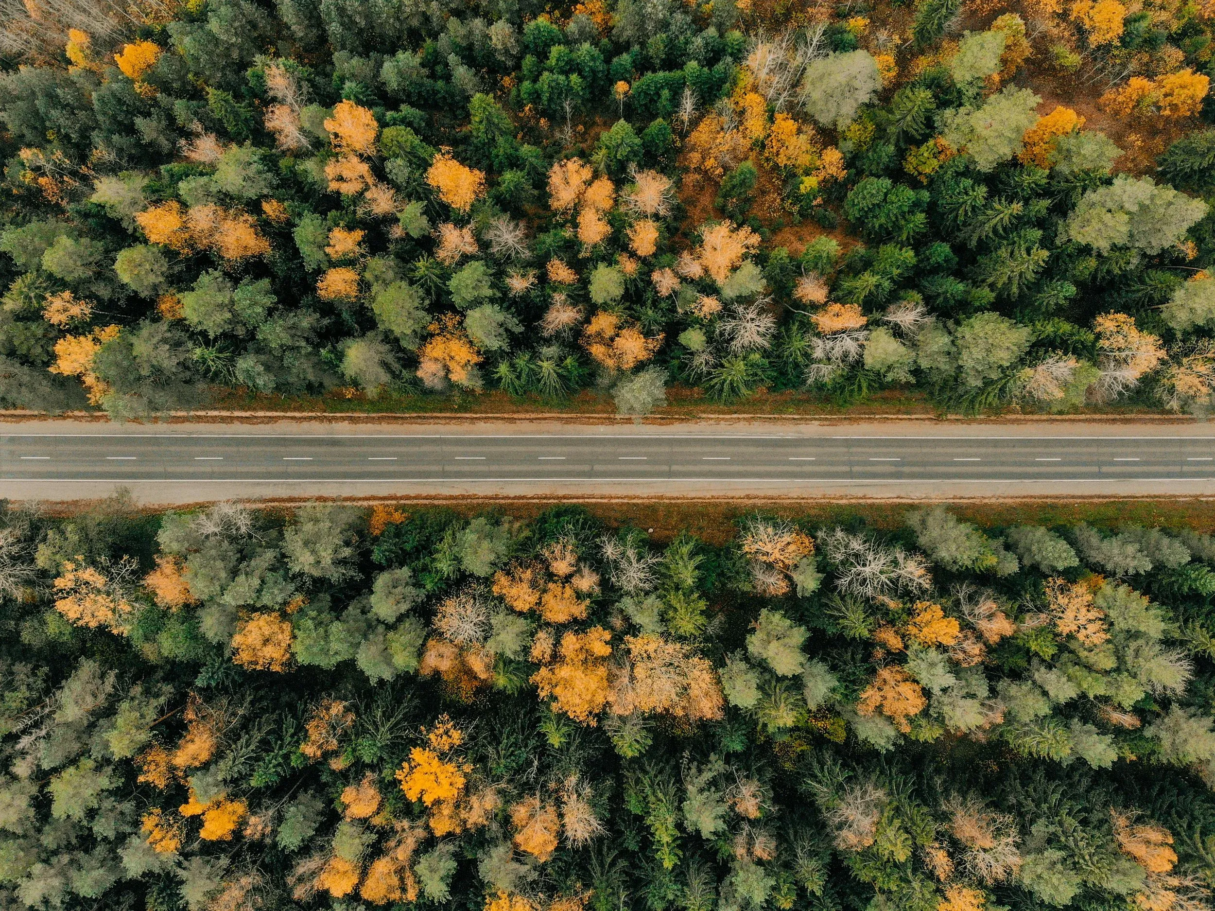 Aerial view of a road through northern Ontario forest